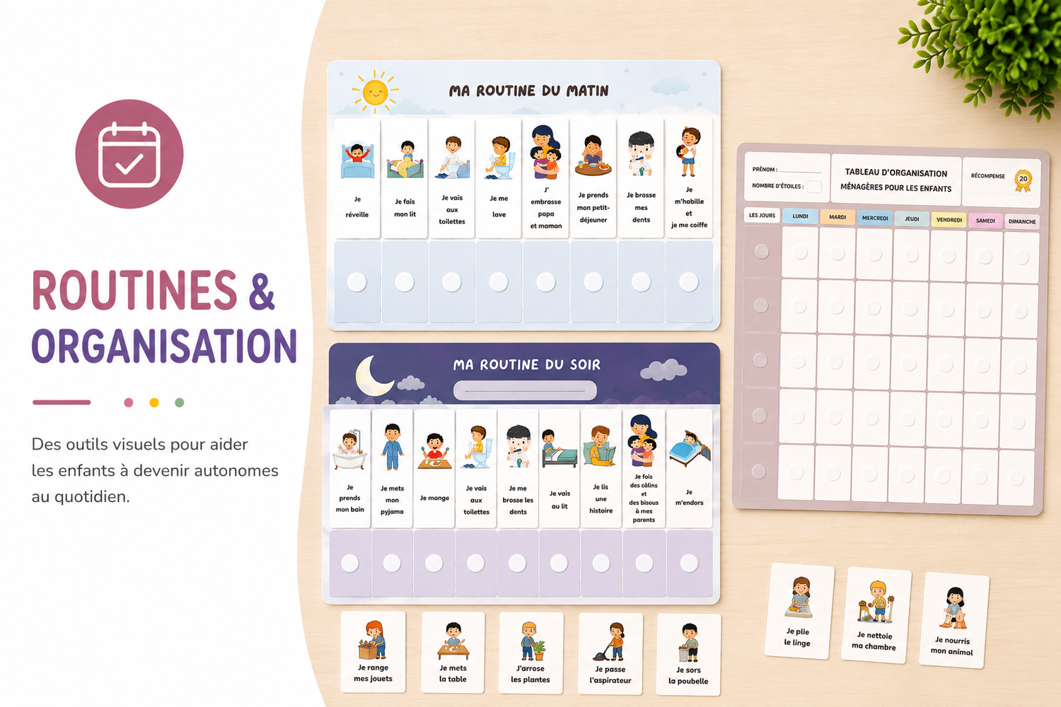 ROUTINE & ORGANISATION