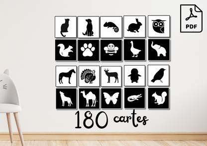 PDF 180 Cartes flash noir et blanc pour bébé